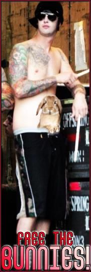 poze funny cu A7X - free the bunny!!! - Despre A7X